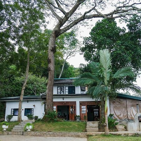 Welikande Yoga Retreats 호텔 디가나 외부 사진