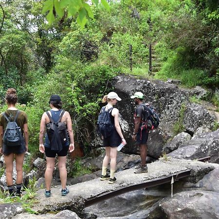 Welikande Yoga Retreats 호텔 디가나 외부 사진