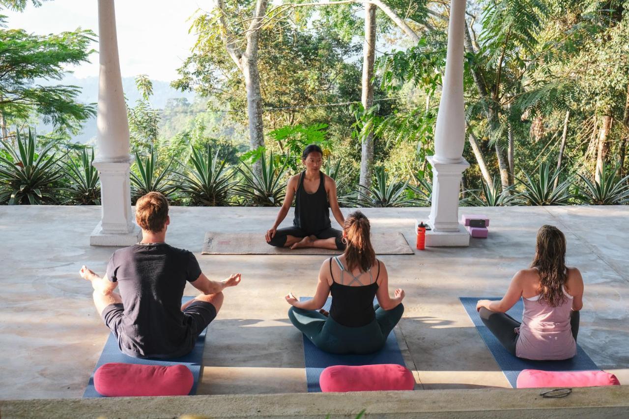 Welikande Yoga Retreats 호텔 디가나 외부 사진