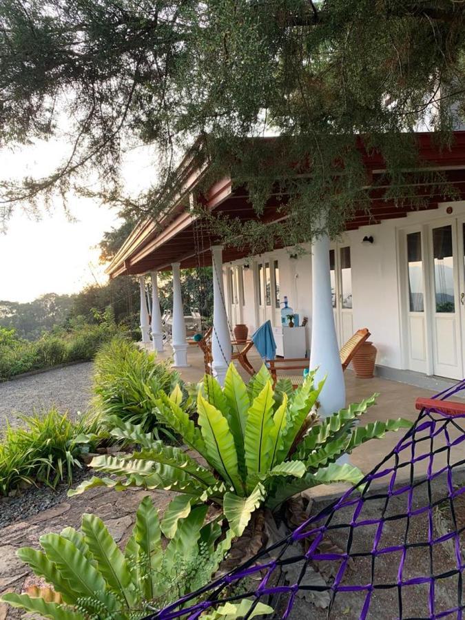 Welikande Yoga Retreats 호텔 디가나 외부 사진