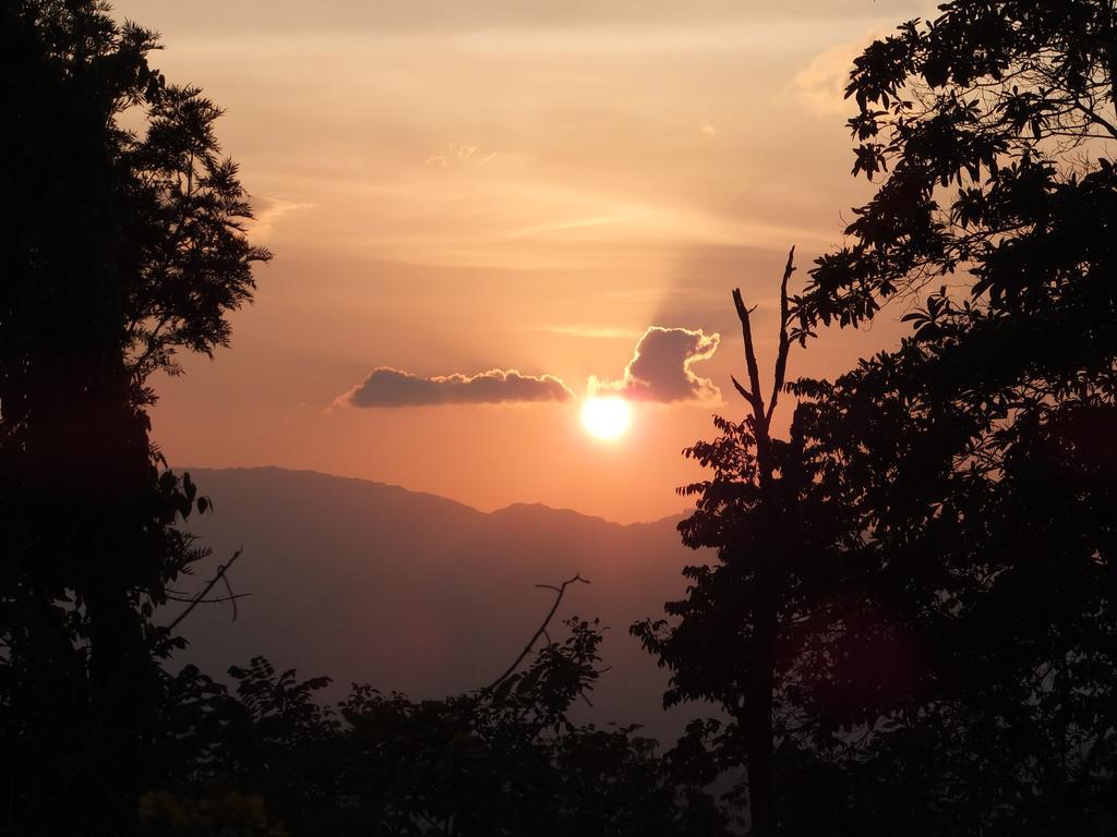 Welikande Yoga Retreats 호텔 디가나 객실 사진