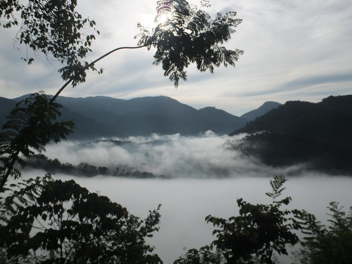 Welikande Yoga Retreats 호텔 디가나 외부 사진