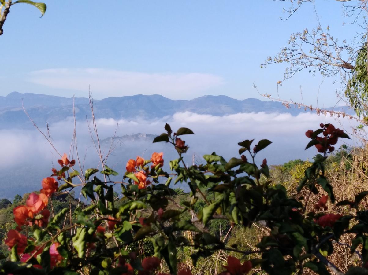 Welikande Yoga Retreats 호텔 디가나 외부 사진