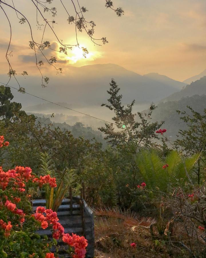 Welikande Yoga Retreats 호텔 디가나 외부 사진